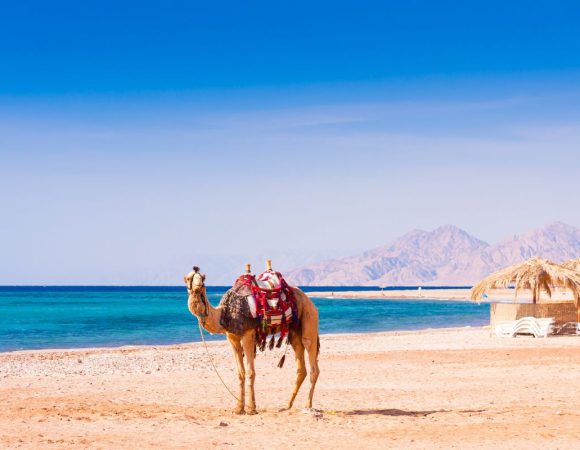 Cairo - Hurghada 7 days.