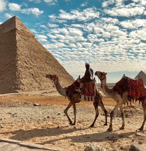 🛬 Cairo Transit Tour – Make the Most of Your Layover